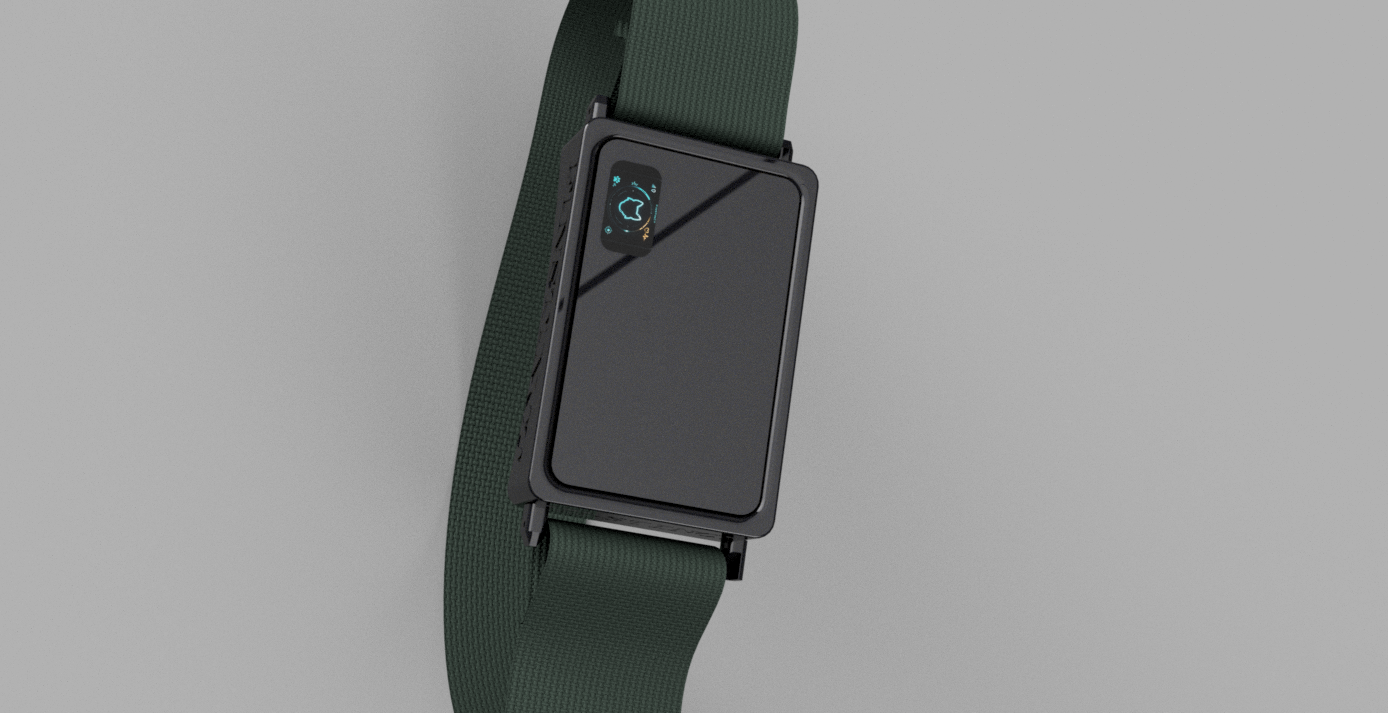 Smart pet collar